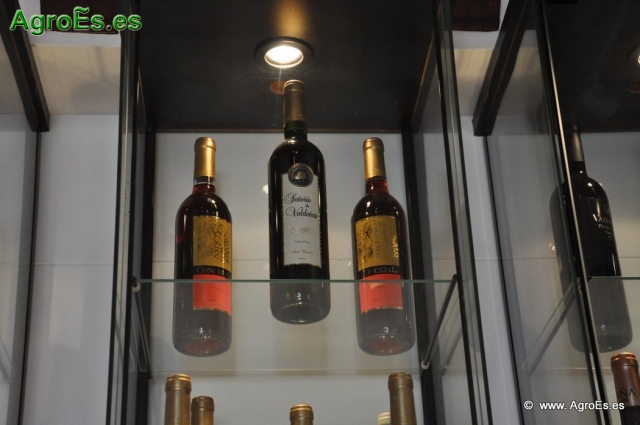 Botellas de Vino_9