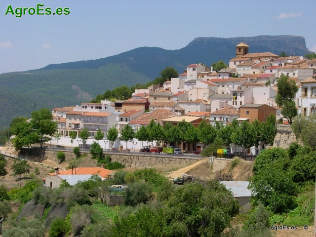 Cotillas de Albacete - Turismo Rural y AgroTurismo