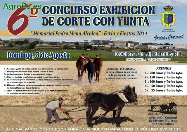 Exhibición de labrar Corte con Yunta de Mulas en Socuéllamos