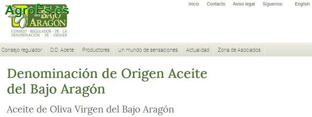 El Bajo Aragón, una de las zonas más propicias del mundo para el cultivo del olivo y donde se produce el mejor aceite de oliva.