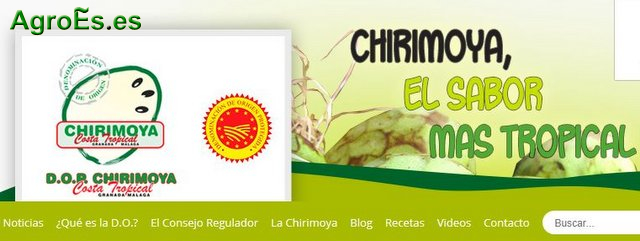 Chirimoya Costa Tropical Granada Málaga con Denominación de Origen