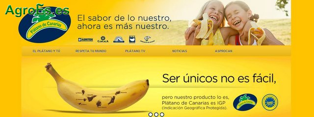 Plátano de Canarias con Indicación Geográfica Protegida