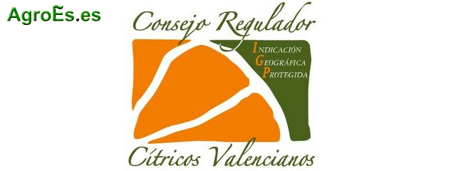 Cítricos Valencianos con Indicación Geográfica Protegida