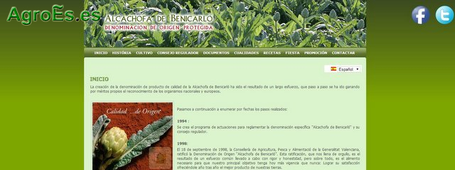 Alcachofas de Benicarló con Denominación de Origen Protegida