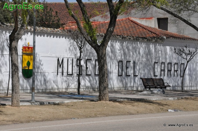 Museo_85