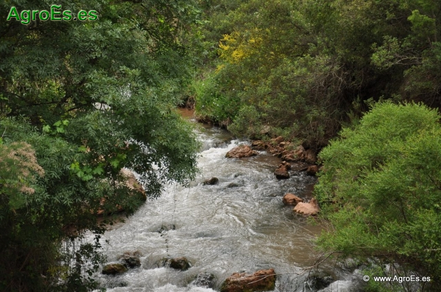 Río Bogarra_10