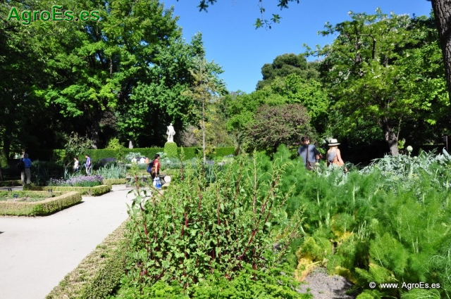 Real Jardín Botánico