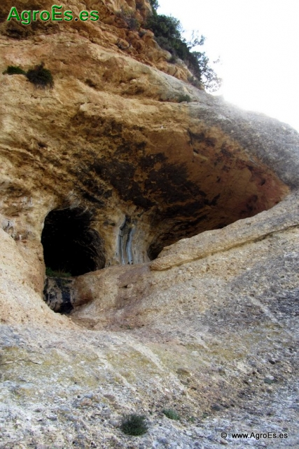 Cuevas de Zaén_15